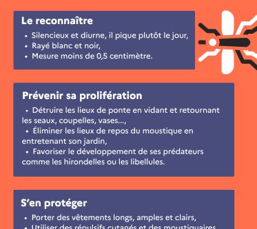 Infographie "Moustique tigre : nous avons tous un rôle à jouer !"